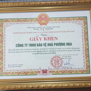 Bằng khen chi hội DN